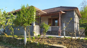 Spring Village Home